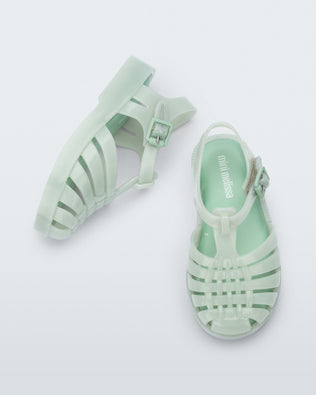 Product element, title Possession in Light Green
 price $39.00