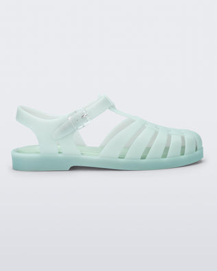 Product element, title Possession in Light Green
 price $47.40