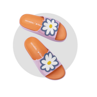 Slides